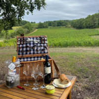 Château Hostens-Picant