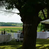 Château Hostens-Picant