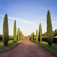 Château Hostens-Picant