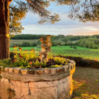 Château Hostens-Picant