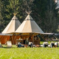 Les tipis dans la prairie