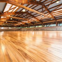 Le manège avec parquet