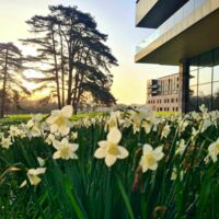 Maubreuil Séminaires en fleurs à Nantes Carquefou 44