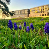 Maubreuil Séminaires à Nantes Carquefou 44 au printemps