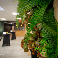 Salle de Reception la Marguerite