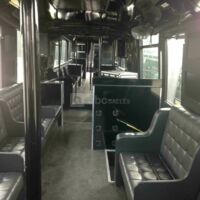 Disco Bus