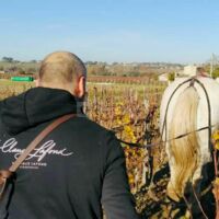 Domaine Claude Lafond