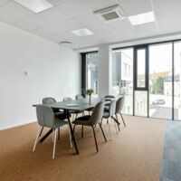 Salle de Réunion Henri Sauvage