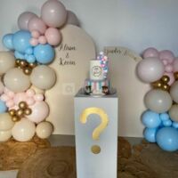 Gender Reveal