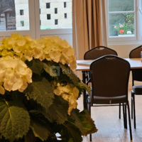 Maison d'Hôte Café Bulle