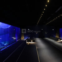 Aquarium Oniria