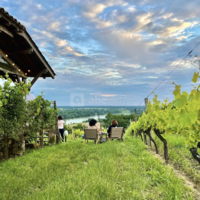 La Cabane Dans les Vignes