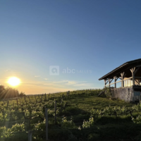 La Cabane Dans les Vignes