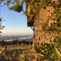 La Cabane Dans les Vignes