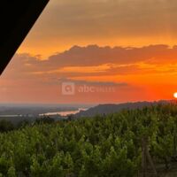 La Cabane Dans les Vignes