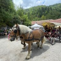 Val, Parc et Monastère de Consolation