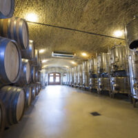 Cave visites
