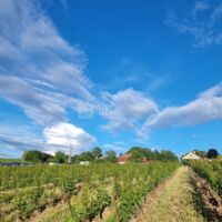 Domaine