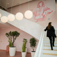 Newton Offices Haute Borne