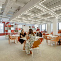 Newton Offices Haute Borne