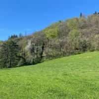 Château de Montanges