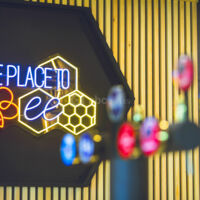 The Place To Bee