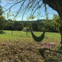 Domaine de la Contie