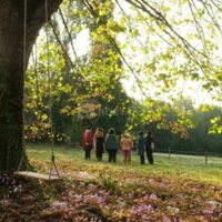 Domaine de la Contie