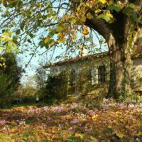 Domaine de la Contie