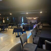 Elissa Lounge
