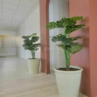 Salle Eventia