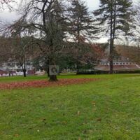 Mutuelle la Mayotte Association