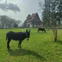 Mutuelle la Mayotte Association