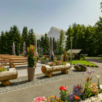 Chalet le Sauvageon