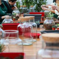 Ateliers Teambuilding Mendi