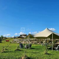 Domaine de Tallat