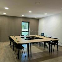 Ace Consulting