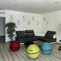 Ace Consulting