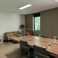 Ace Consulting