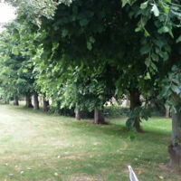 PARC