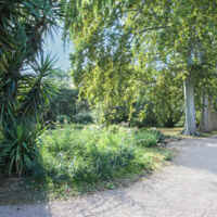 L'entrée