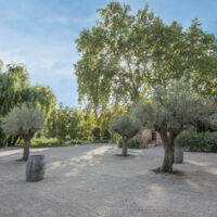 La cour plongeant sur le lac