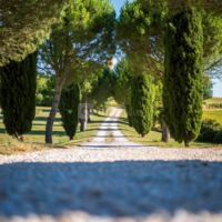 Domaine de Vadel