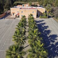 O Palma