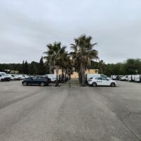O Palma