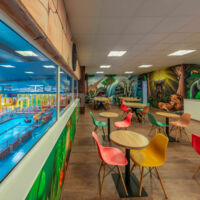 Jungle Indoor