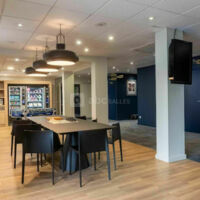 Ibis Lyon Est Bron