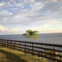 Les Jardins de Surya