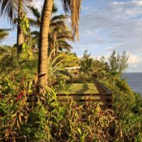 Les Jardins de Surya