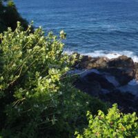 Les Jardins de Surya